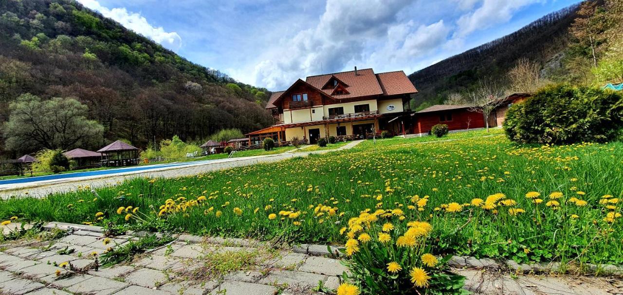 Pensiunea Casiana Ciulpăz Buitenkant foto