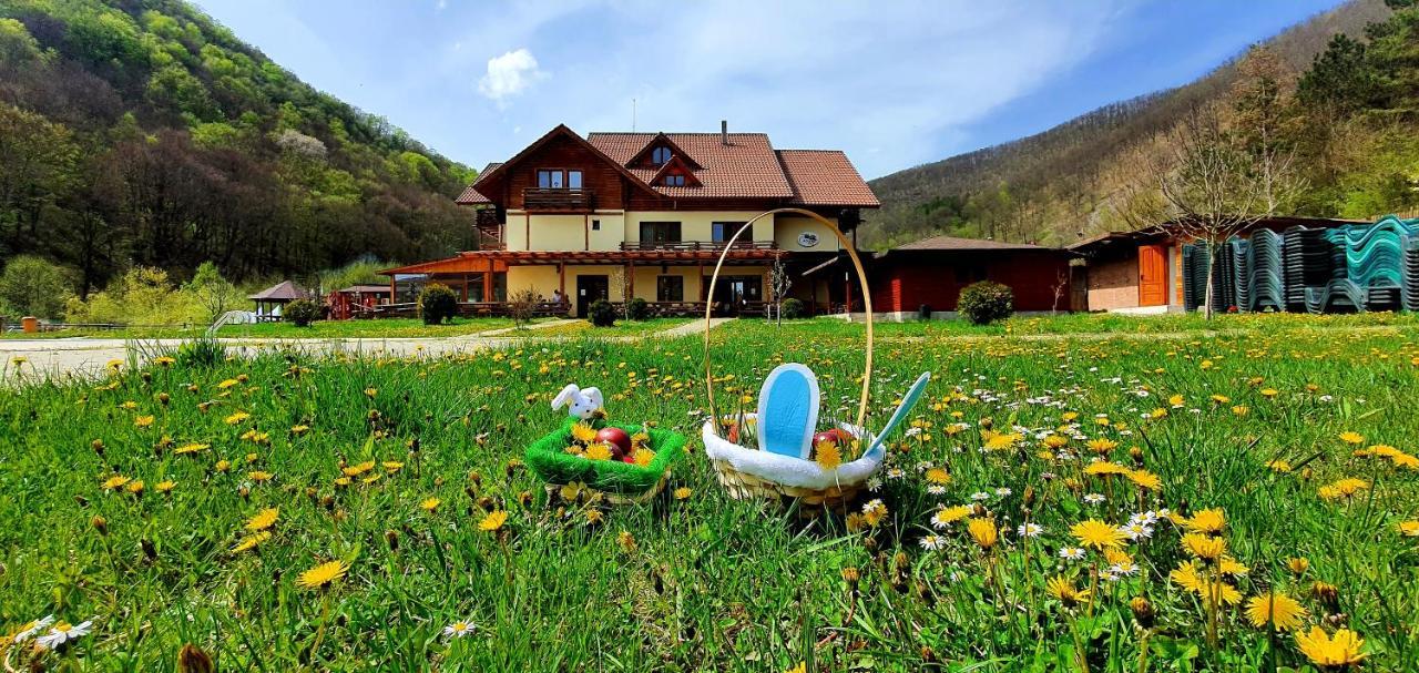 Pensiunea Casiana Ciulpăz Buitenkant foto