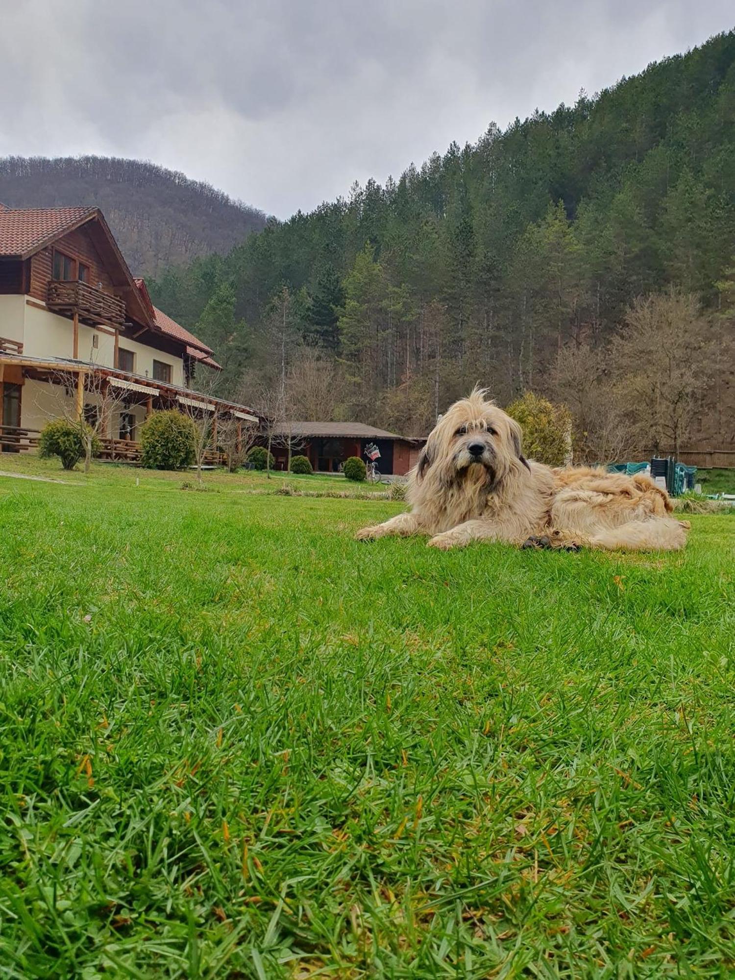 Pensiunea Casiana Ciulpăz Buitenkant foto