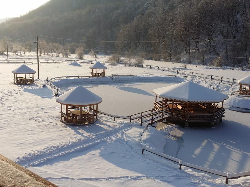 Pensiunea Casiana Ciulpăz Buitenkant foto